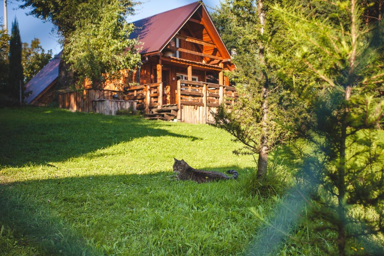 Sokolskie Chaty Gorlice Kültér fotó